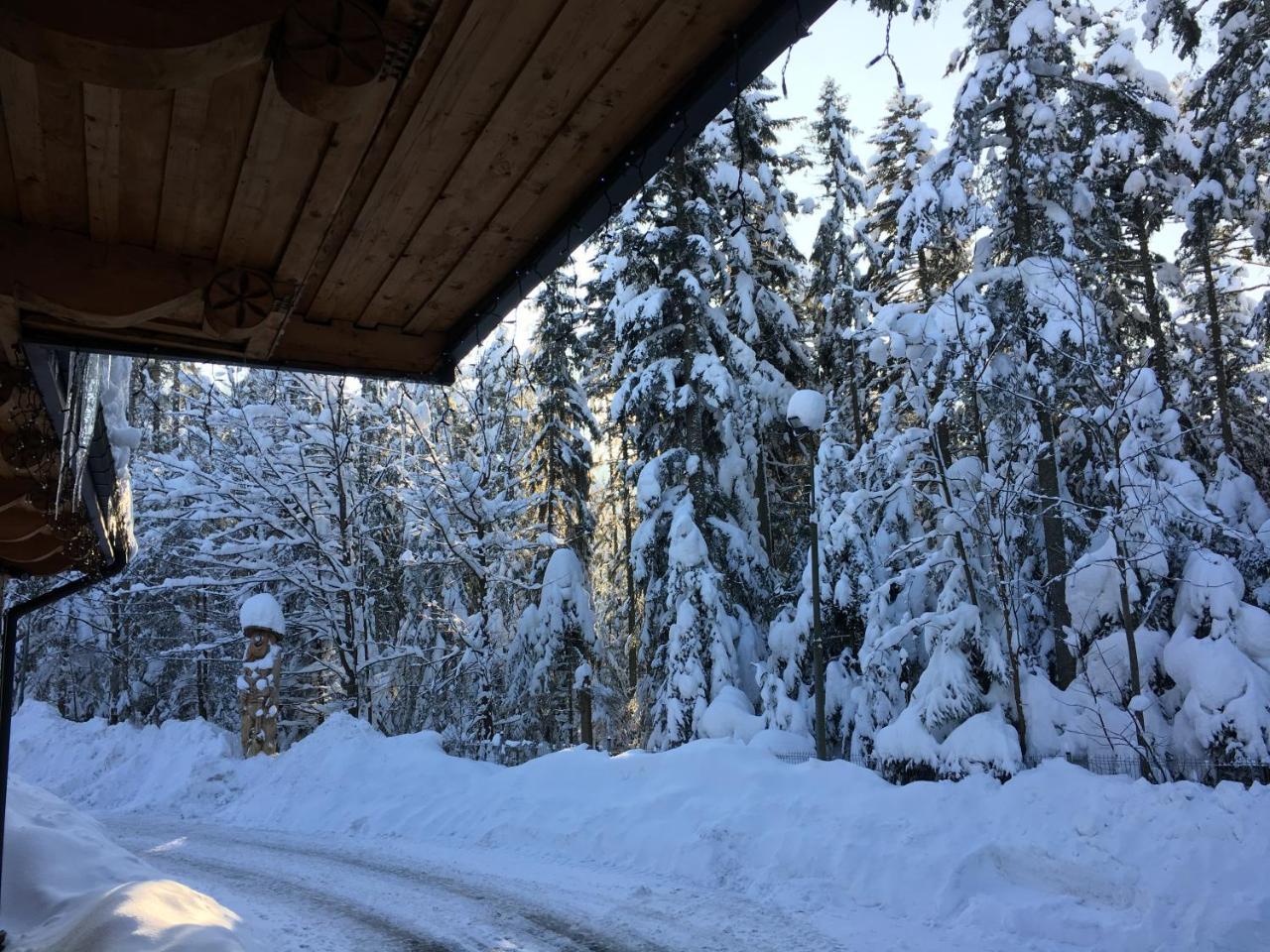 Hotel Dwór Karolówka Zakopane Kültér fotó